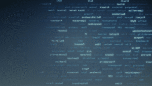 ox8 IT Services Report 2024